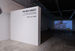 The_New_Subject_Installation_view_(29)