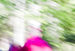 bhd_foto_Lasse_Fischer_(2)