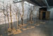 Morten Barker / Forest of populus tremula from Hevring shooting range and wooden hut, 2013 (foto Niels Fabæk)